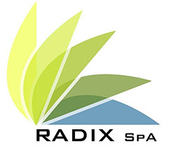 Radix SPA